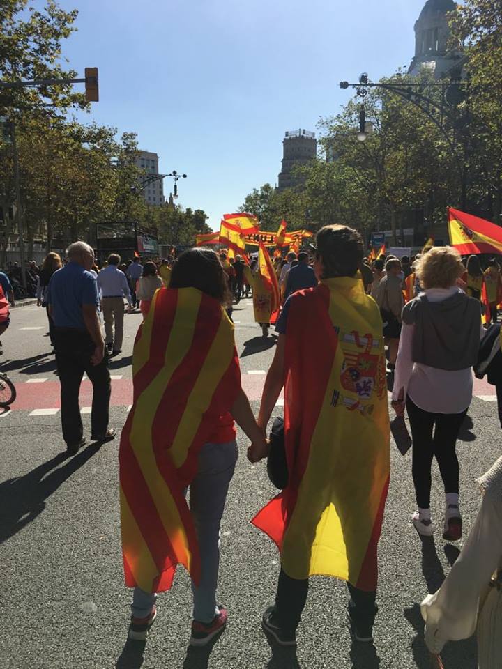 22228397_10210526479666944_8942639462009870364_n